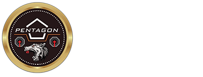 Pentagon Watchdogs